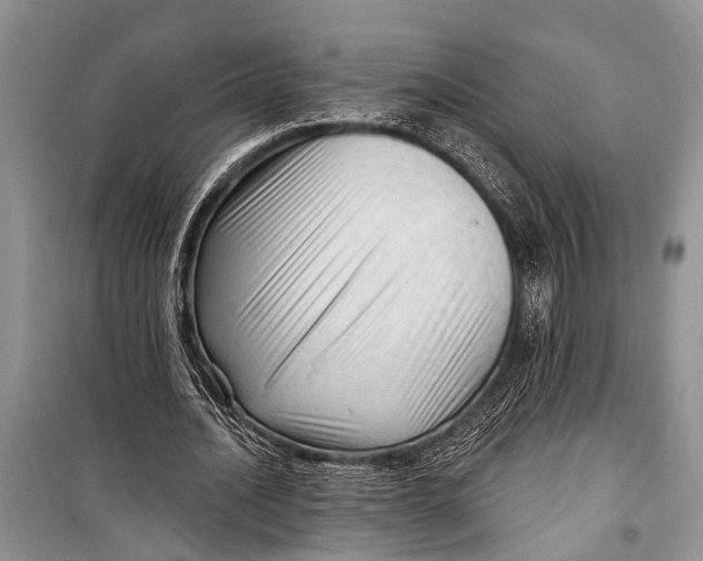 X0000098170628200805151117