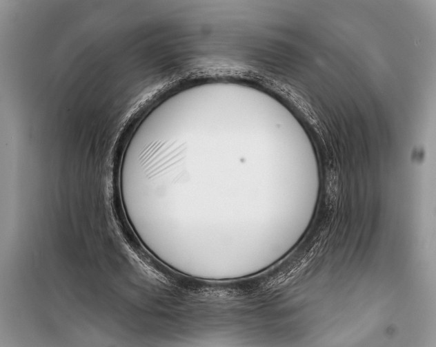 X0000098170629200805151117