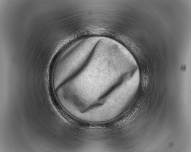 X0000098170630200805151117