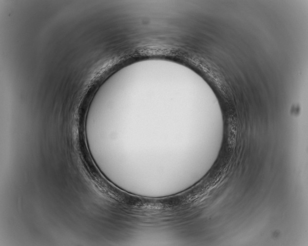 X0000098170631200805151117