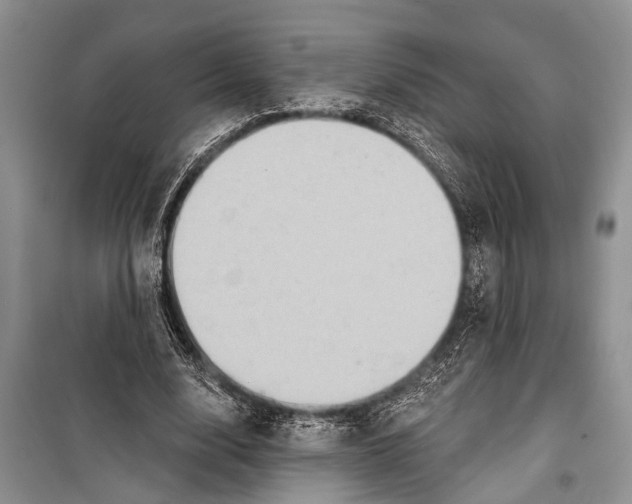 X0000098170632200805151117