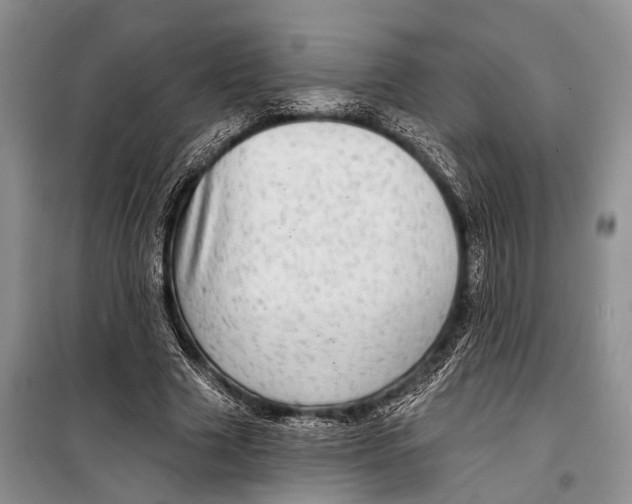 X0000098170633200805151117