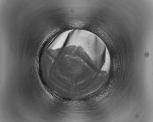 X0000098170634200805151117