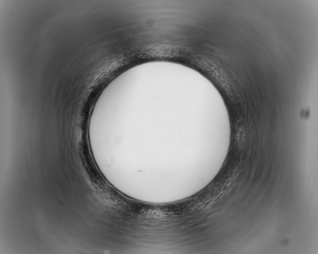 X0000098170635200805151117