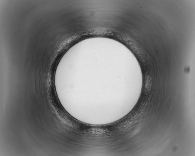 X0000098170636200805151117