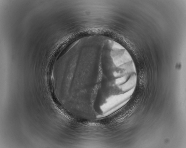 X0000098170637200805151117