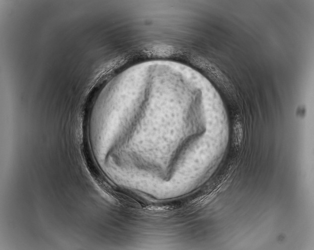 X0000098170638200805151117