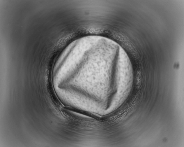 X0000098170639200805151117