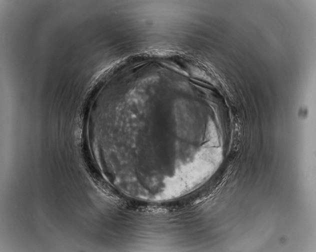 X0000098170640200805151117