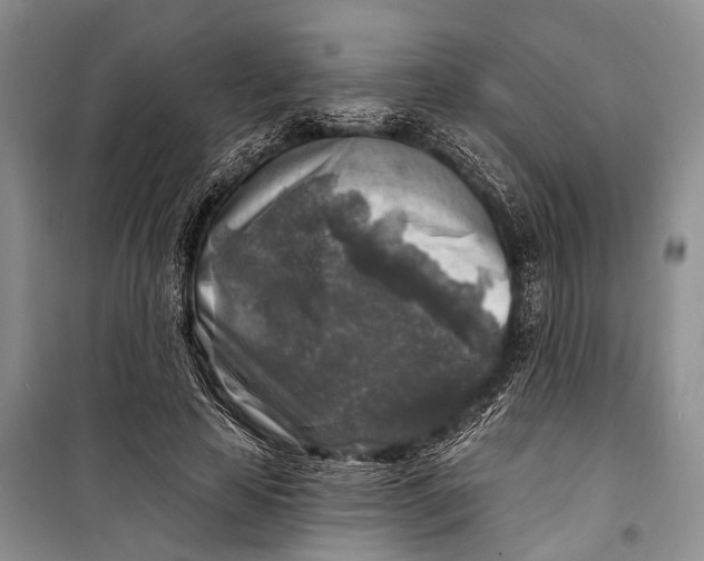 X0000098170641200805151117