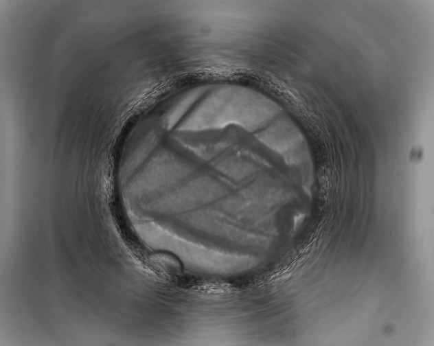 X0000098170642200805151117