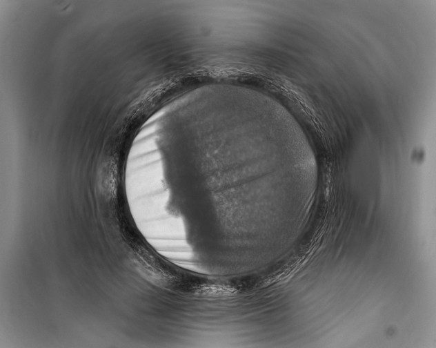 X0000098170644200805151117