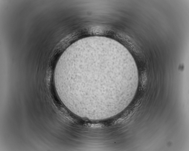 X0000098170645200805151118