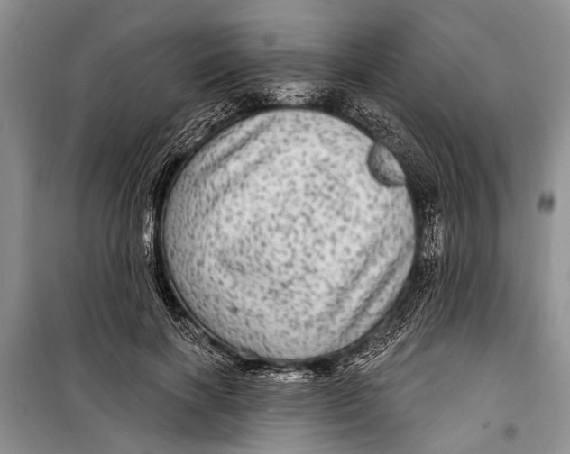 X0000098170646200805151118