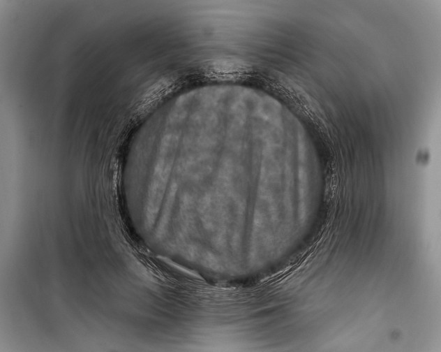 X0000098170647200805151118