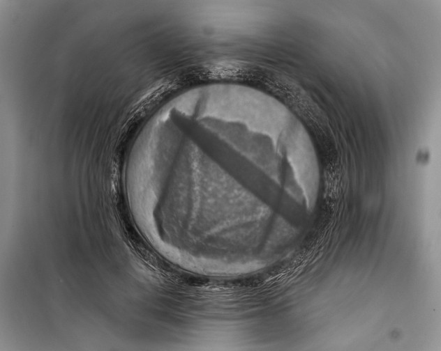 X0000098170648200805151118