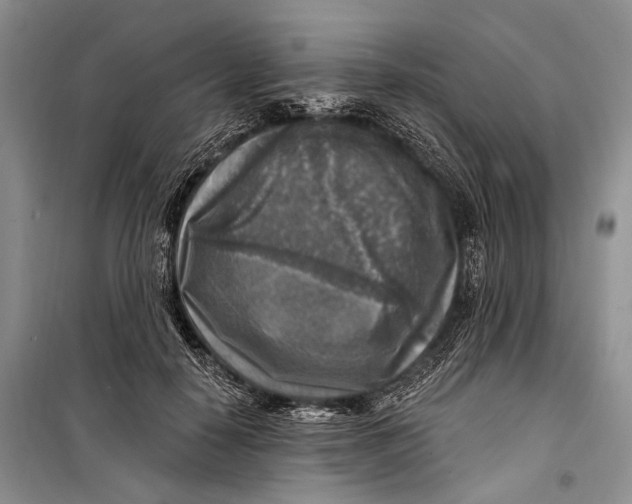 X0000098170650200805151118