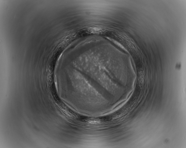 X0000098170653200805151118