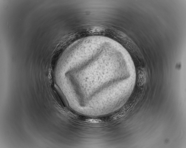 X0000098170654200805151118