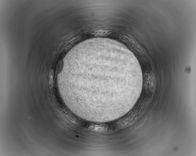 X0000098170655200805151118