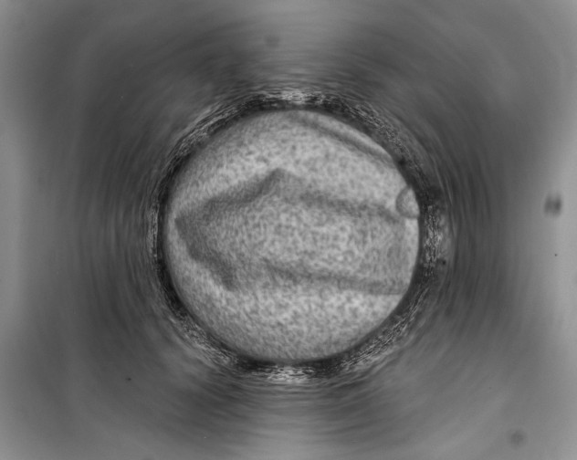 X0000098170656200805151118