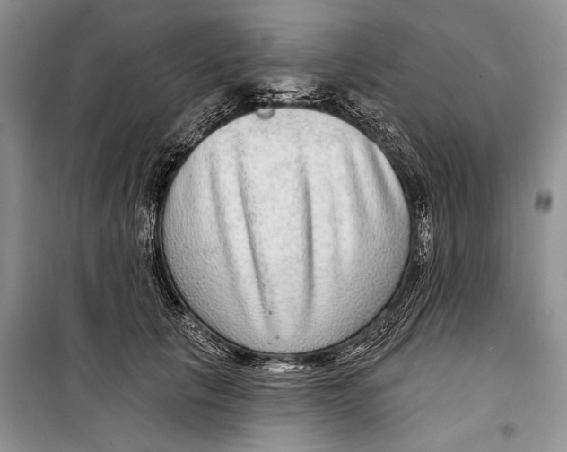 X0000098170657200805151118