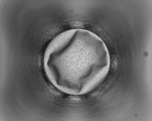 X0000098170658200805151118