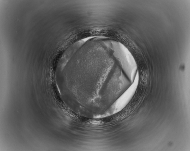 X0000098170659200805151118