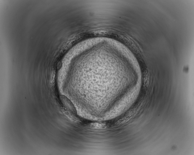 X0000098170660200805151118