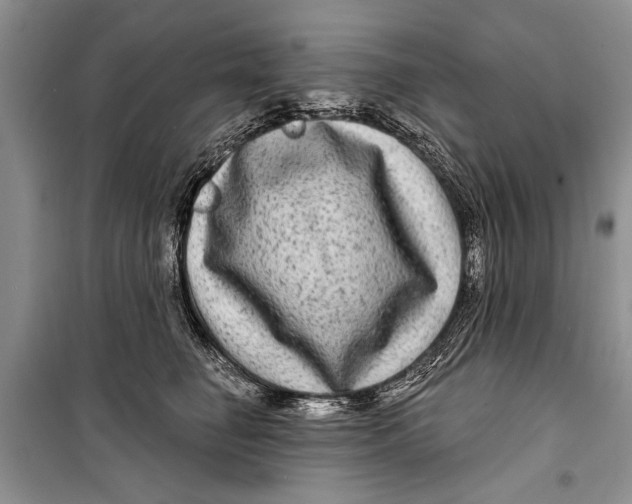 X0000098170662200805151118