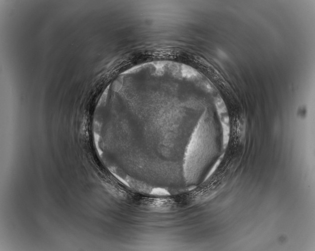 X0000098170663200805151118