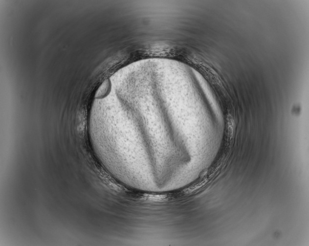 X0000098170665200805151118