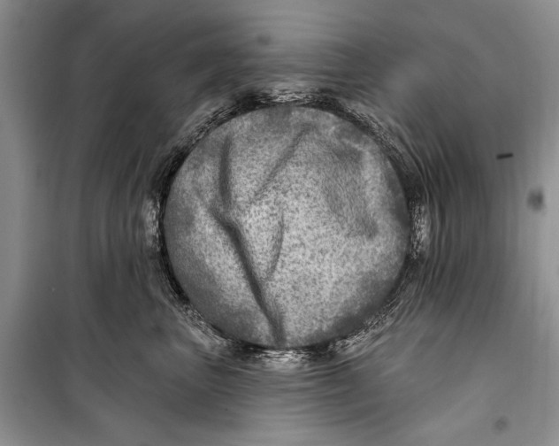 X0000098170667200805151118