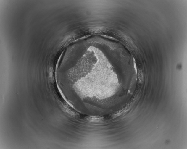 X0000098170670200805151118