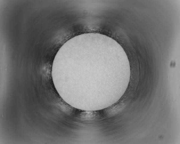 X0000098170672200805151118