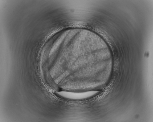 X0000098170673200805151117