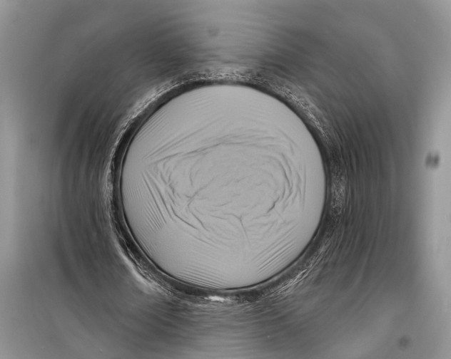 X0000098170674200805151117