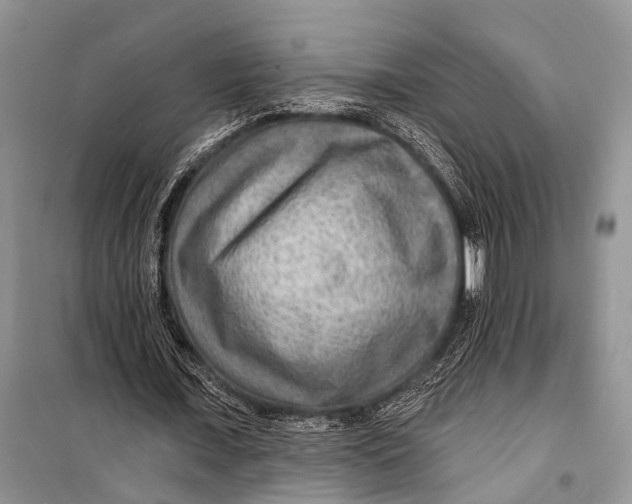 X0000098170675200805151117