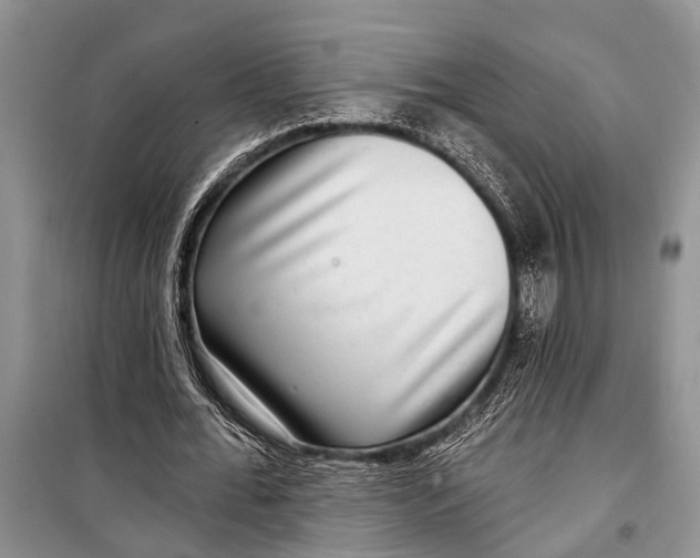 X0000098170676200805151117