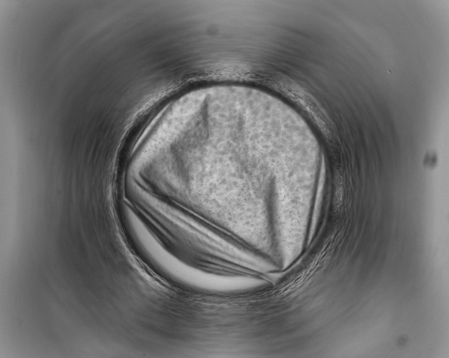 X0000098170677200805151117