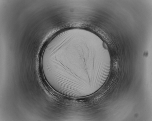 X0000098170678200805151117