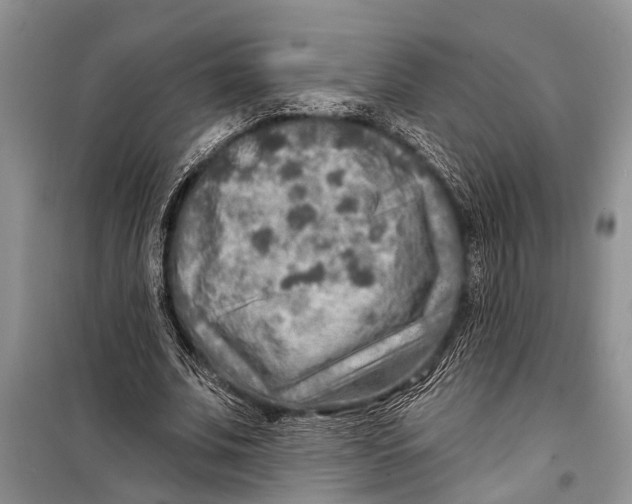 X0000098170679200805151117