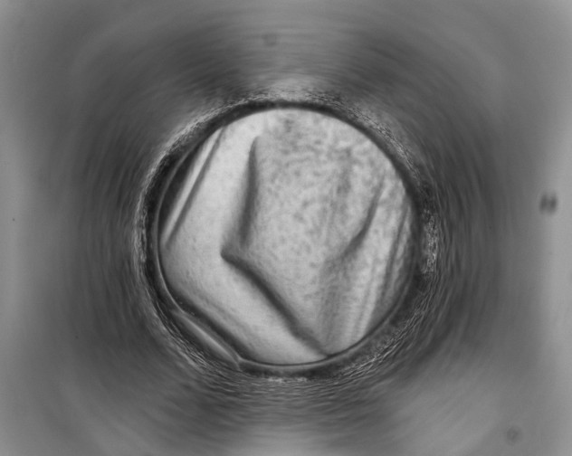 X0000098170680200805151117