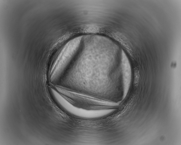 X0000098170681200805151117