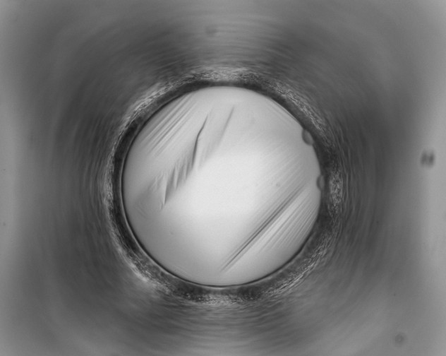 X0000098170682200805151117