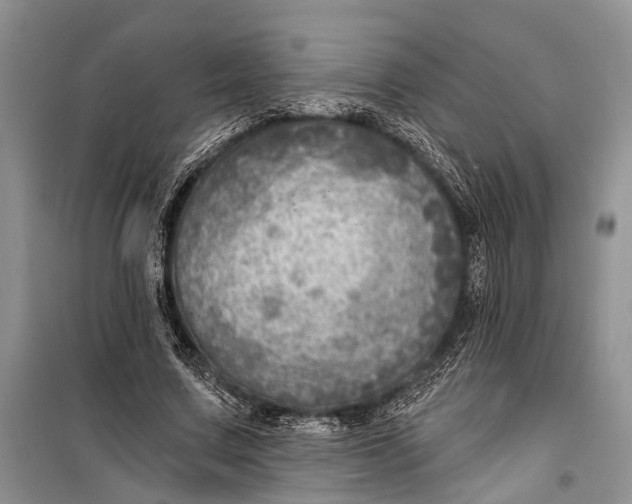 X0000098170683200805151117