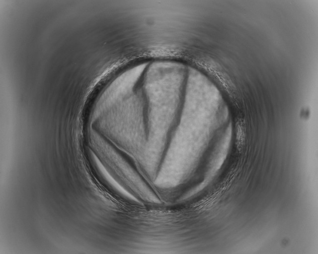 X0000098170684200805151117