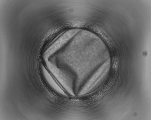 X0000098170685200805151117