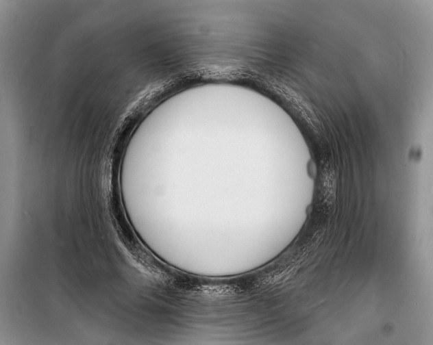 X0000098170686200805151117