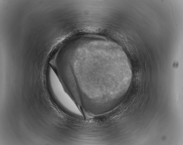 X0000098170688200805151117